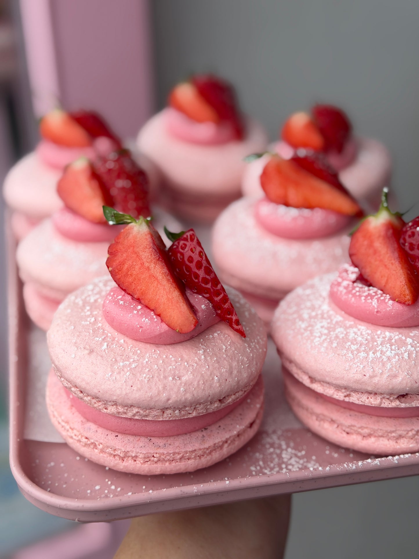 XL Strawberry Macaroons